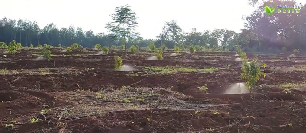 béc tưới bù áp